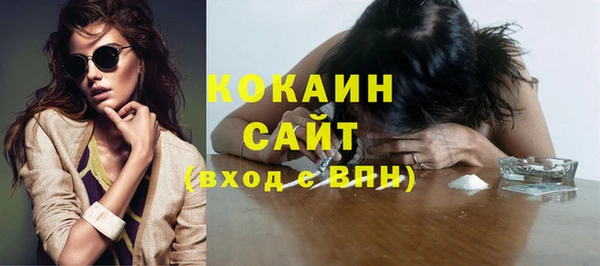 хмурый Арсеньев