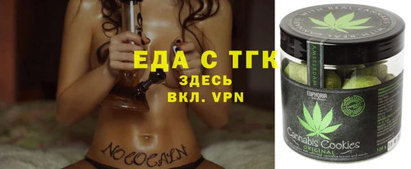 хмурый Арсеньев
