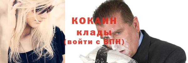 хмурый Арсеньев