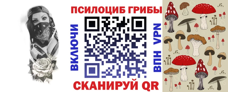 закладка  Пыть-Ях  Псилоцибиновые грибы GOLDEN TEACHER 